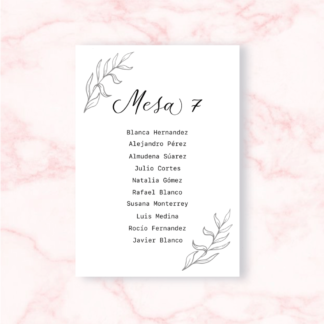 seating plan bienvenda